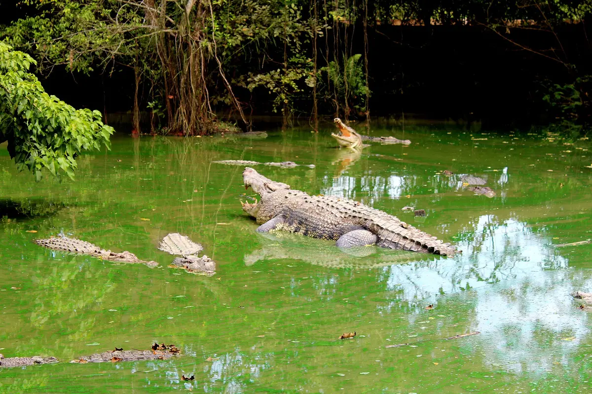 Pemandangan Balikpapan