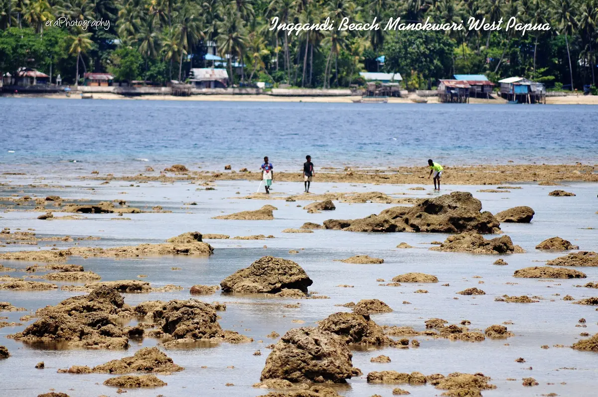Pemandangan Manokwari